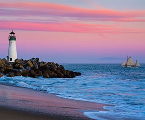 santa-cruz